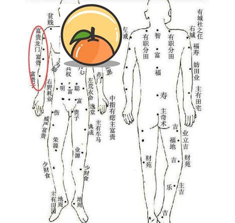 手臂有痣前世|從手上的痣看你的好運在哪？上手臂有痣善於察言觀色。